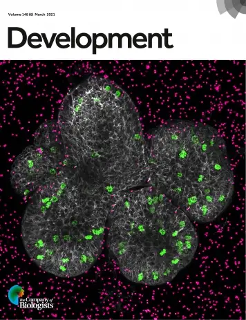Latest Journal Cover