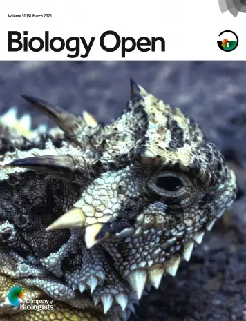 Latest Journal Cover