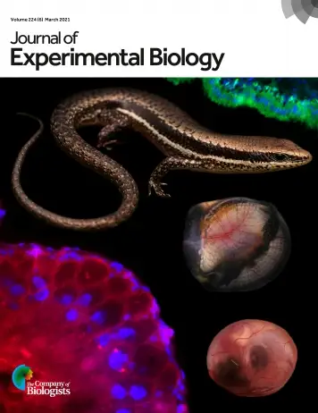 Latest Journal Cover